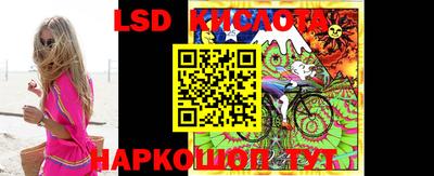 стаф Кулебаки