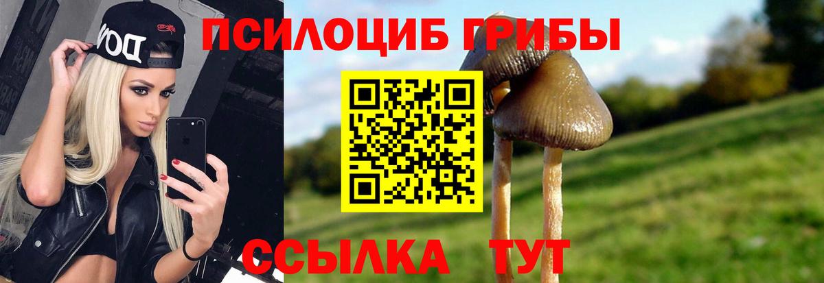 где купить наркоту  Галлюциногенные грибы Magic Shrooms  Галлюциногенные грибы мицелий  Вход с VPN  Дзержинский 